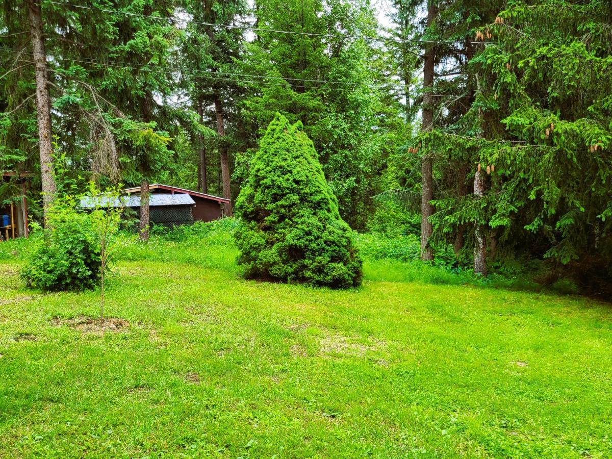 Woodcrest Bed And Breakfast Clearwater Exteriör bild